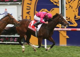 Miss Rose de Lago winning the PB Lawrence Stakes